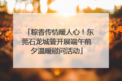 粽香传情暖人心！东莞石龙城管开展端午前夕温暖慰问活动