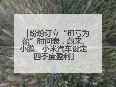 纷纷订立“扭亏为盈”时间表，蔚来、小鹏、小米汽车设定四季度盈利