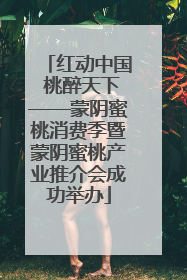 红动中国 桃醉天下——蒙阴蜜桃消费季暨蒙阴蜜桃产业推介会成功举办