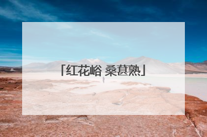红花峪 桑葚熟
