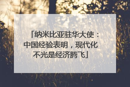纳米比亚驻华大使：中国经验表明，现代化不光是经济腾飞