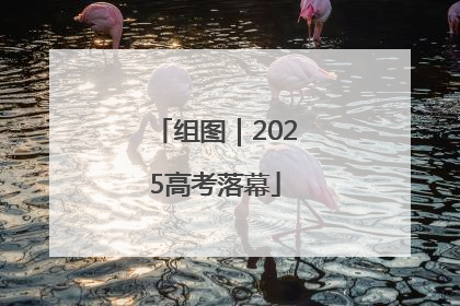 组图｜2025高考落幕