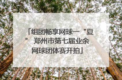 组团畅享网球一“夏” 郑州市第七届业余网球团体赛开拍