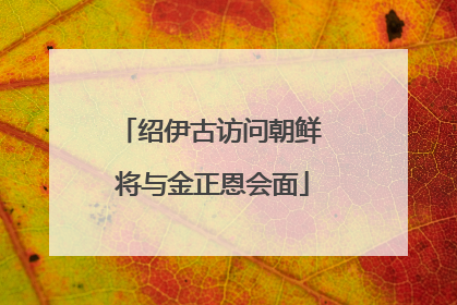 绍伊古访问朝鲜 将与金正恩会面