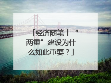 经济随笔丨“两重”建设为什么如此重要？