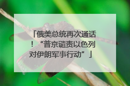 俄美总统再次通话！“普京谴责以色列对伊朗军事行动”