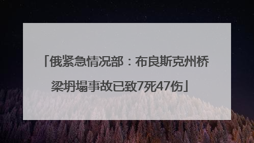 俄紧急情况部：布良斯克州桥梁坍塌事故已致7死47伤