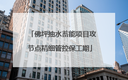 佛坪抽水蓄能项目攻节点精细管控保工期