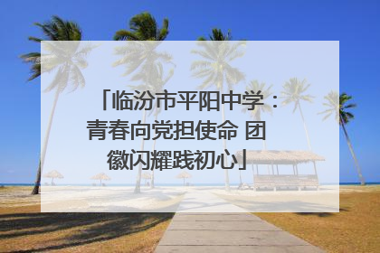 临汾市平阳中学：青春向党担使命 团徽闪耀践初心