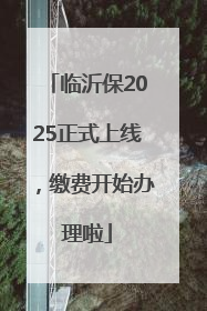 临沂保2025正式上线，缴费开始办理啦