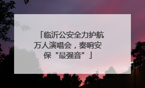 临沂公安全力护航万人演唱会，奏响安保“最强音”