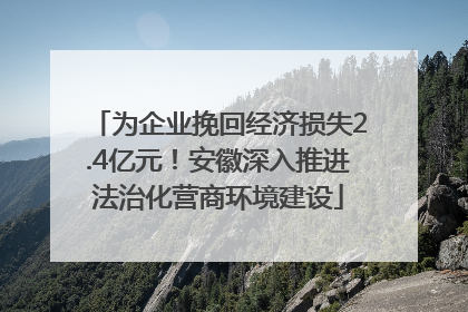 为企业挽回经济损失2.4亿元！安徽深入推进法治化营商环境建设