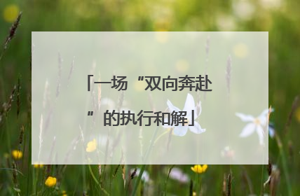 一场“双向奔赴”的执行和解