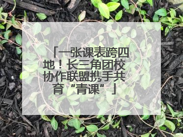 一张课表跨四地！长三角团校协作联盟携手共育“青课”