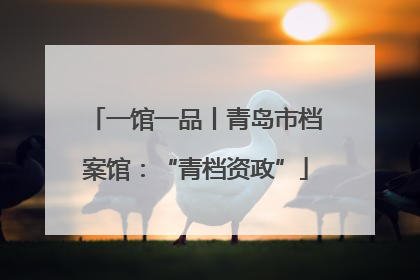 一馆一品丨青岛市档案馆：“青档资政”