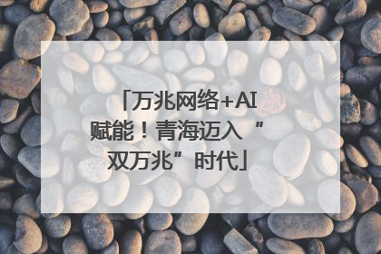 万兆网络+AI赋能！青海迈入“双万兆”时代