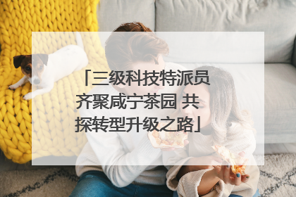 三级科技特派员齐聚咸宁茶园 共探转型升级之路