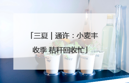 三夏｜通许：小麦丰收季 秸秆回收忙