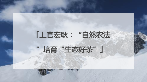 上官宏耿：“自然农法”培育“生态好茶”