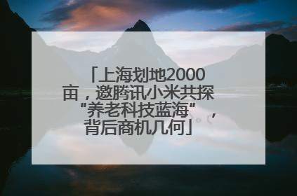 上海划地2000亩，邀腾讯小米共探“养老科技蓝海”，背后商机几何