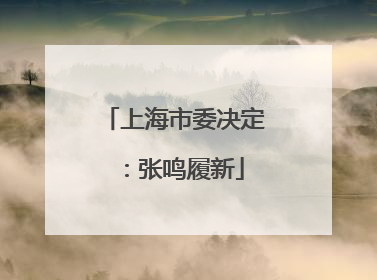 上海市委决定：张鸣履新