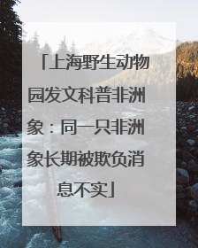 上海野生动物园发文科普非洲象：同一只非洲象长期被欺负消息不实