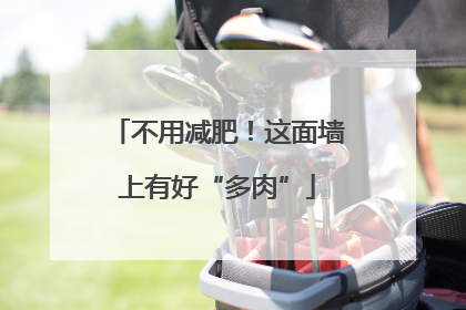不用减肥!这面墙上有好“多肉”