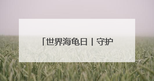 世界海龟日丨守护世界最大海龟产卵 特多“守夜人”坚守海滩30多年