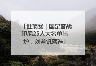 世预赛｜国足客战印尼25人大名单出炉，刘若钒落选