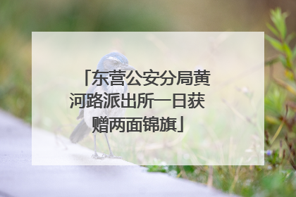 东营公安分局黄河路派出所一日获赠两面锦旗