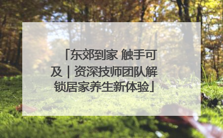 东郊到家 触手可及｜资深技师团队解锁居家养生新体验