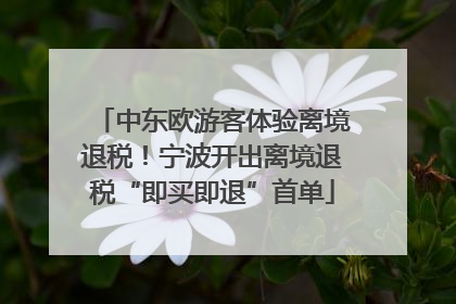 中东欧游客体验离境退税！宁波开出离境退税“即买即退”首单