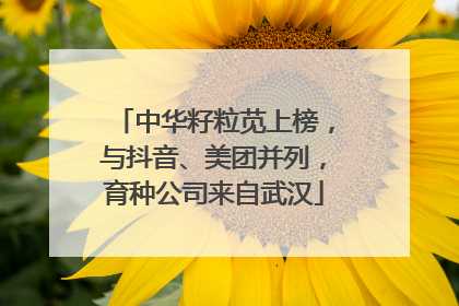 中华籽粒苋上榜，与抖音、美团并列，育种公司来自武汉
