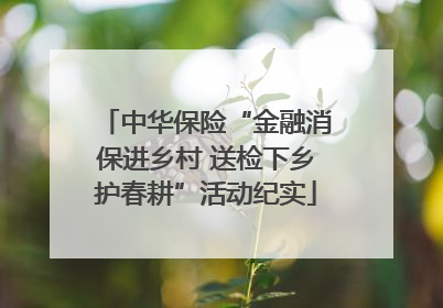 中华保险“金融消保进乡村 送检下乡护春耕”活动纪实