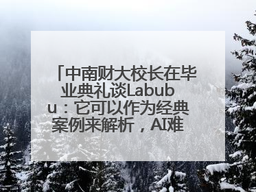 中南财大校长在毕业典礼谈Labubu：它可以作为经典案例来解析，AI难以给出答案