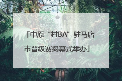 中原“村BA”驻马店市晋级赛揭幕式举办