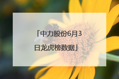 中力股份6月3日龙虎榜数据