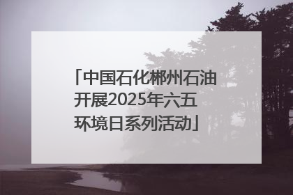 中国石化郴州石油开展2025年六五环境日系列活动
