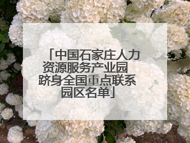 中国石家庄人力资源服务产业园 跻身全国重点联系园区名单