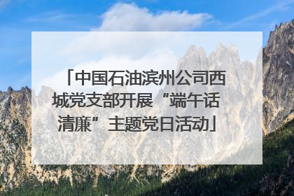 中国石油滨州公司西城党支部开展“端午话清廉”主题党日活动