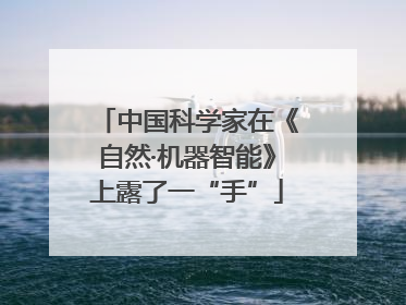 中国科学家在《自然·机器智能》上露了一“手”