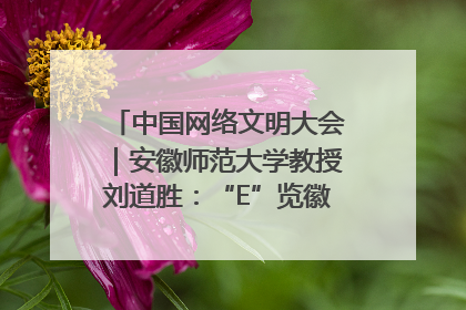 中国网络文明大会｜安徽师范大学教授刘道胜：“E”览徽风，构筑中华民族共有精神家园