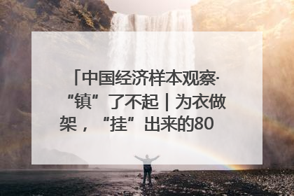 中国经济样本观察·“镇”了不起｜为衣做架，“挂”出来的80亿元“衣架产业”