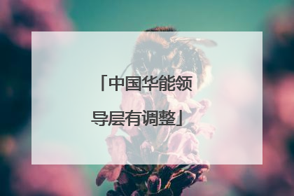 中国华能领导层有调整