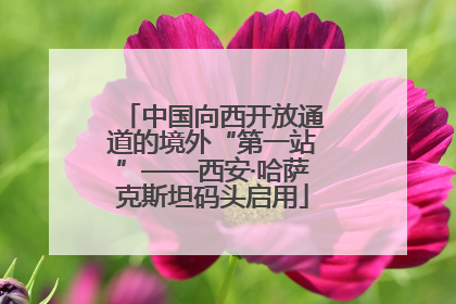 中国向西开放通道的境外“第一站”——西安·哈萨克斯坦码头启用