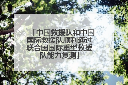 中国救援队和中国国际救援队顺利通过联合国国际重型救援队能力复测