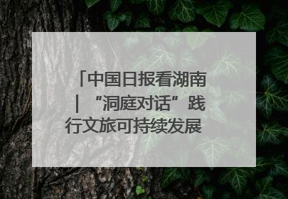 中国日报看湖南｜“洞庭对话”践行文旅可持续发展的生态之约