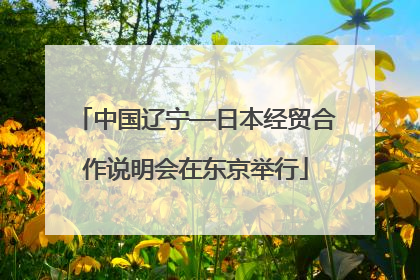 中国辽宁—日本经贸合作说明会在东京举行