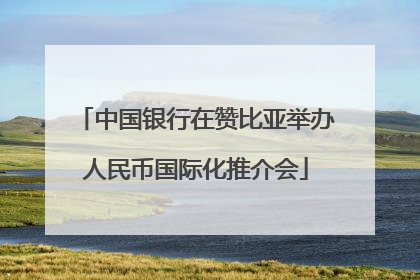 中国银行在赞比亚举办人民币国际化推介会