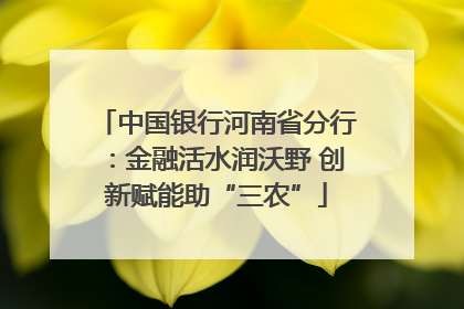中国银行河南省分行：金融活水润沃野 创新赋能助“三农”